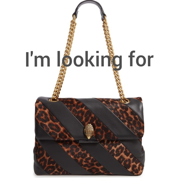 Meet your Posher, Mohammed - Picture 1 of 1